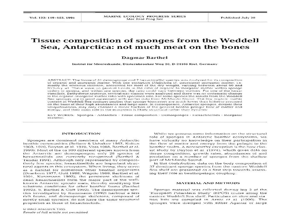 Tissue Composition of Sponges from the Weddell Sea, Antarctica: Not Much Meat on the Bones