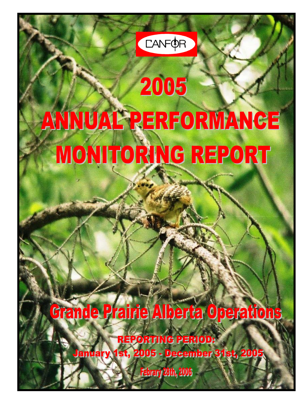 2005 Annual Performance Monitoring Report