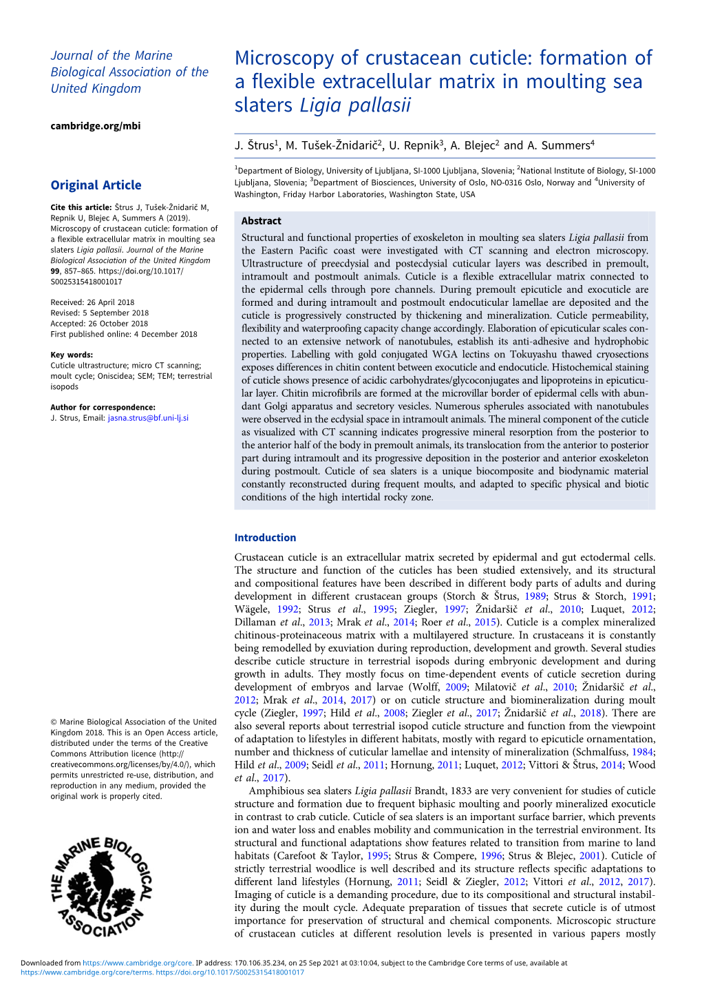 Microscopy of Crustacean Cuticle: Formation of a Flexible Extracellular Matrix in Moulting Sea Slaters Ligia Pallasii