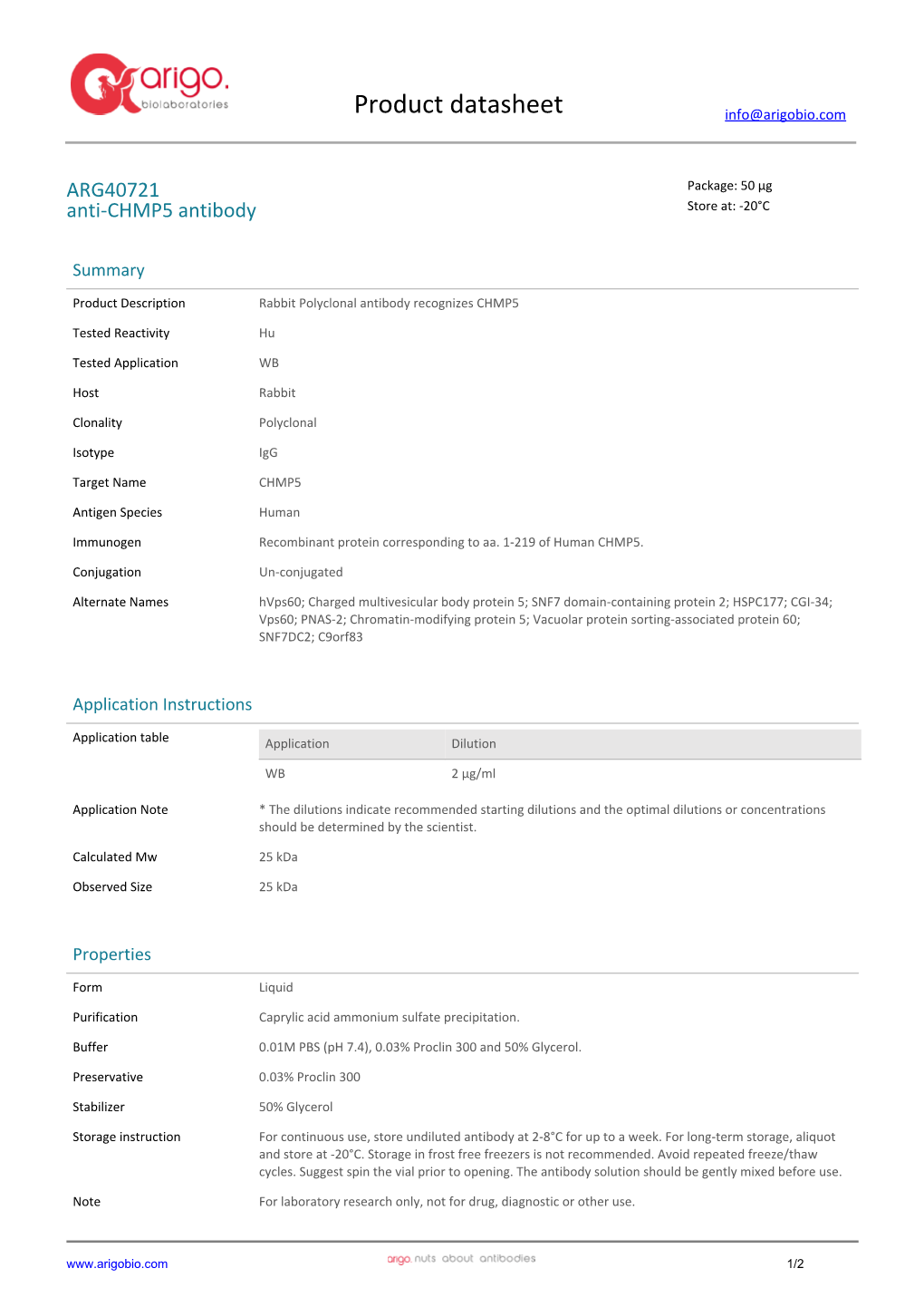 Anti-CHMP5 Antibody (ARG40721)