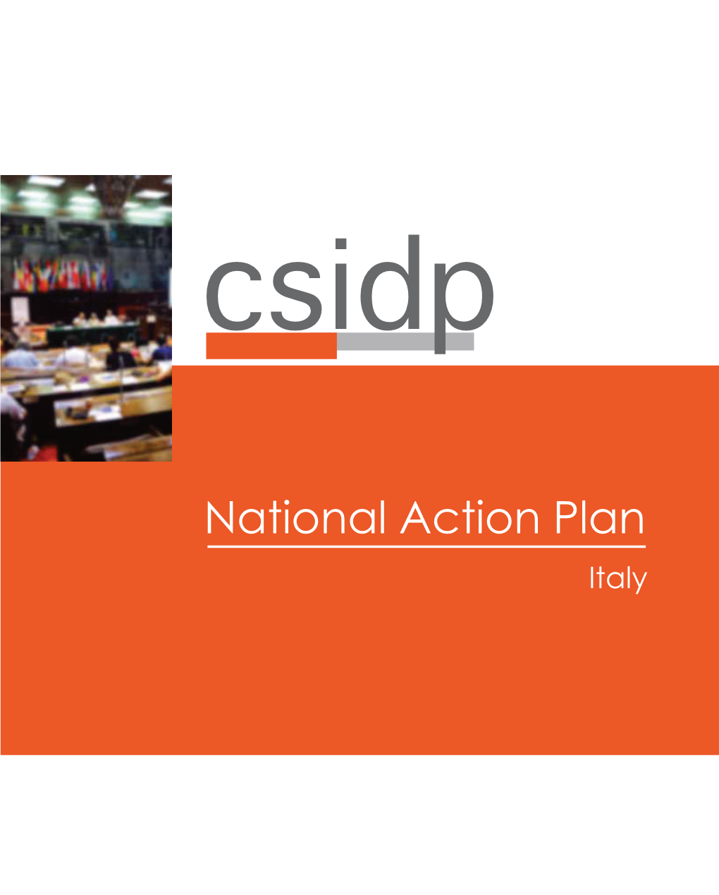 National Action Plan Italy COLOPHON Colophon