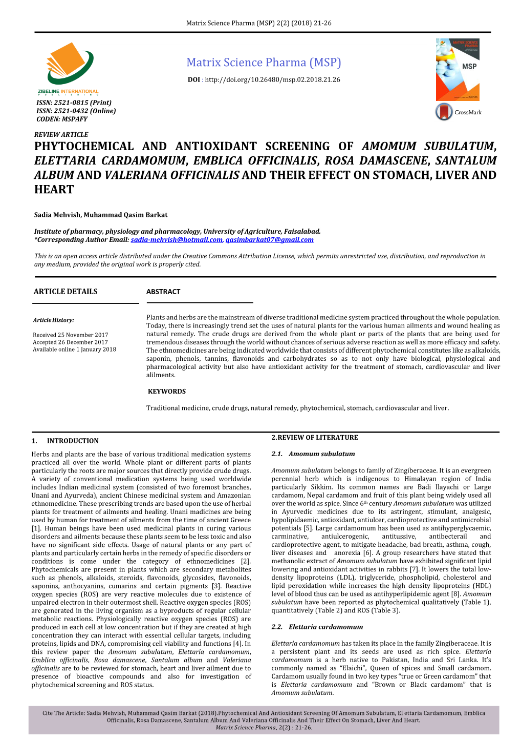 Phytochemical and Antioxidant