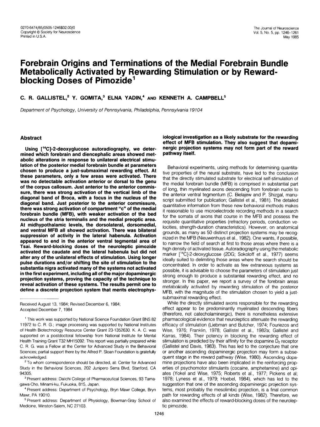 Forebrain Origins and Terminations of the Medial Forebrain Bundle Metabolically Activated by Rewarding Stimulation Or by Reward- Blocking Doses of Pimozide’