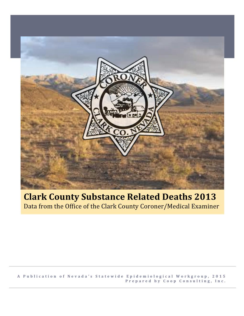 Coroner's Report 2013