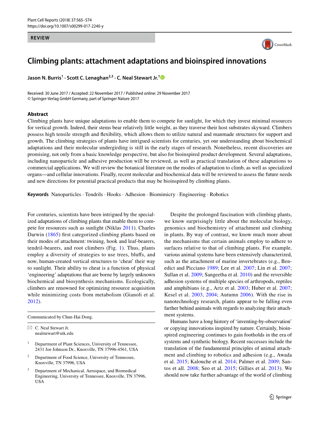 Climbing Plants: Attachment Adaptations and Bioinspired Innovations