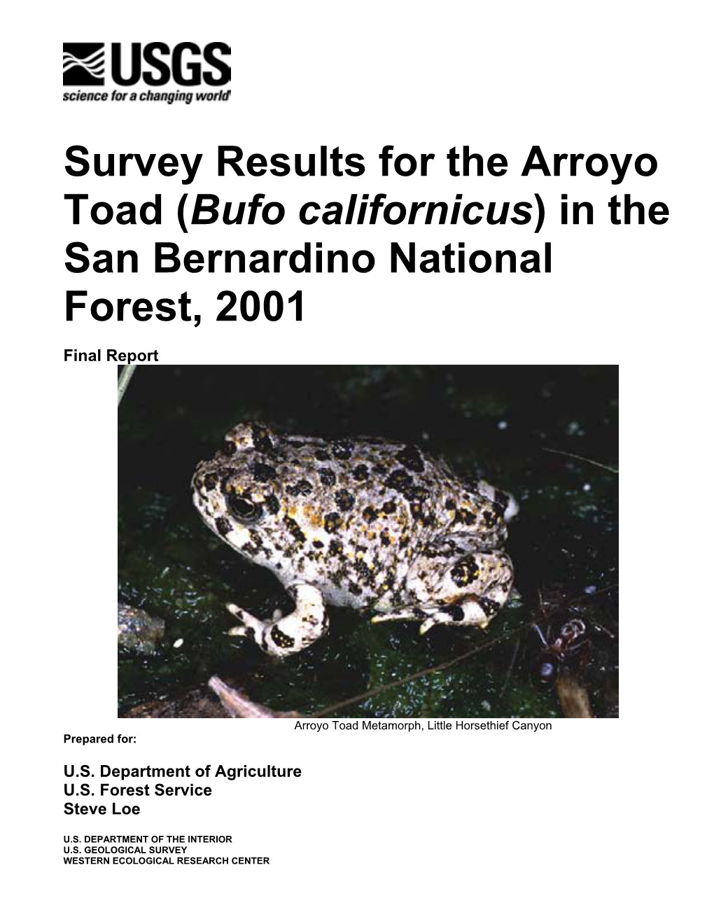 Survey Results for the Arroyo Toad (Bufo Californicus) in the San Bernardino National Forest, 2001