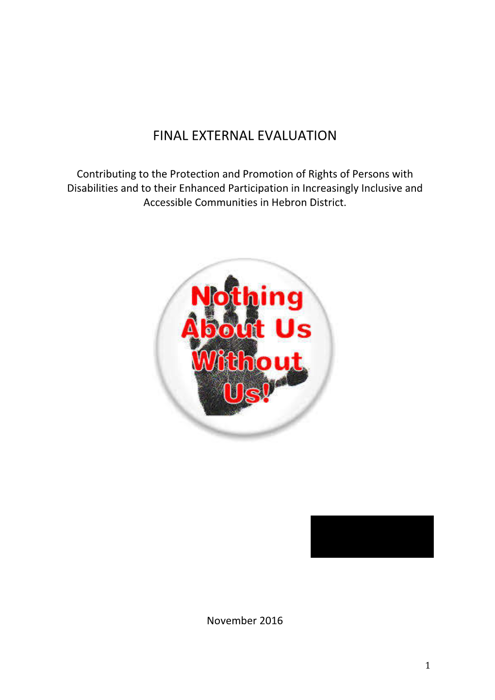 Final External Evaluation