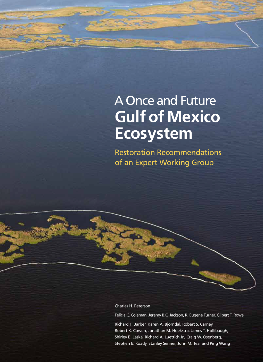 A Once and Future Gulf of Mexico Ecosystem Restoration Recommendations of an Expert Working Group