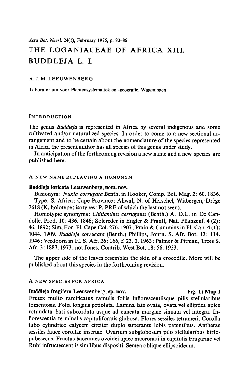 The Loganiaceae of Africa XIII. Buddleja I