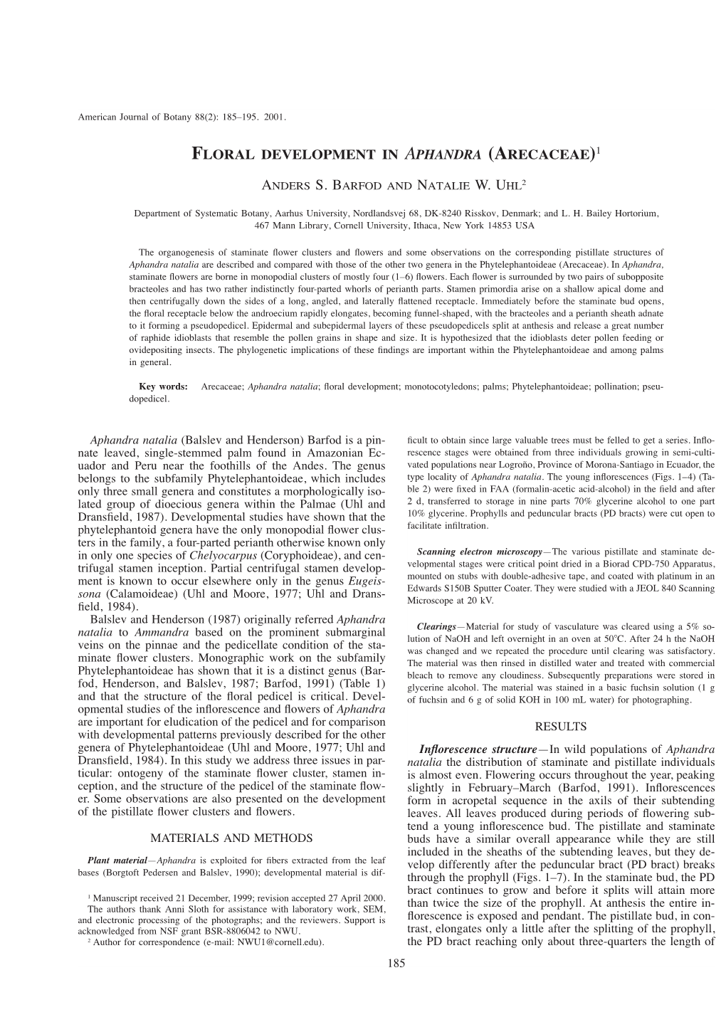 Floral Development in Aphandra (Arecaceae)1