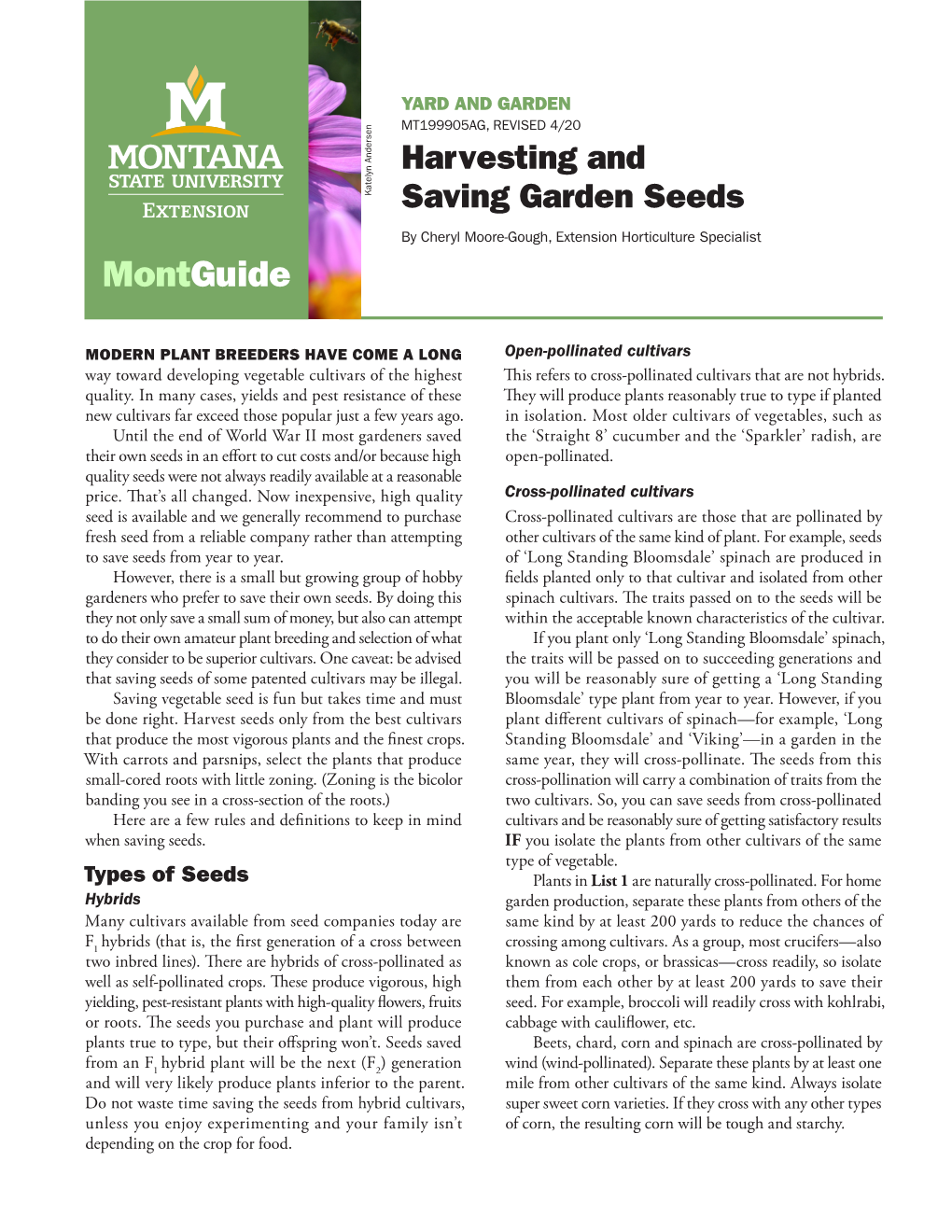 Harvesting and Saving Garden Seeds