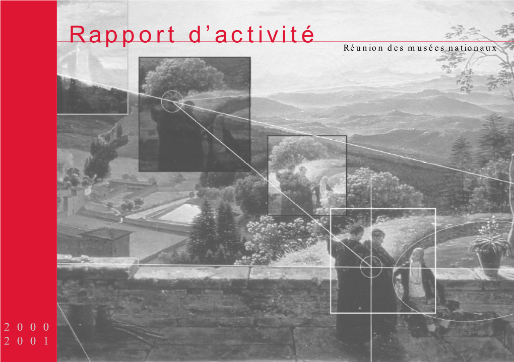 Rapport D'activité