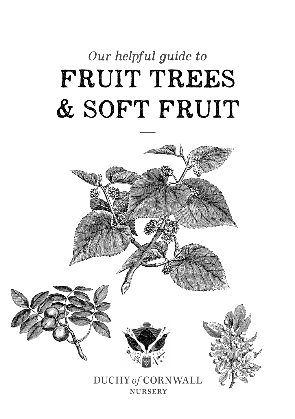 Fruit Trees & Soft Fruit