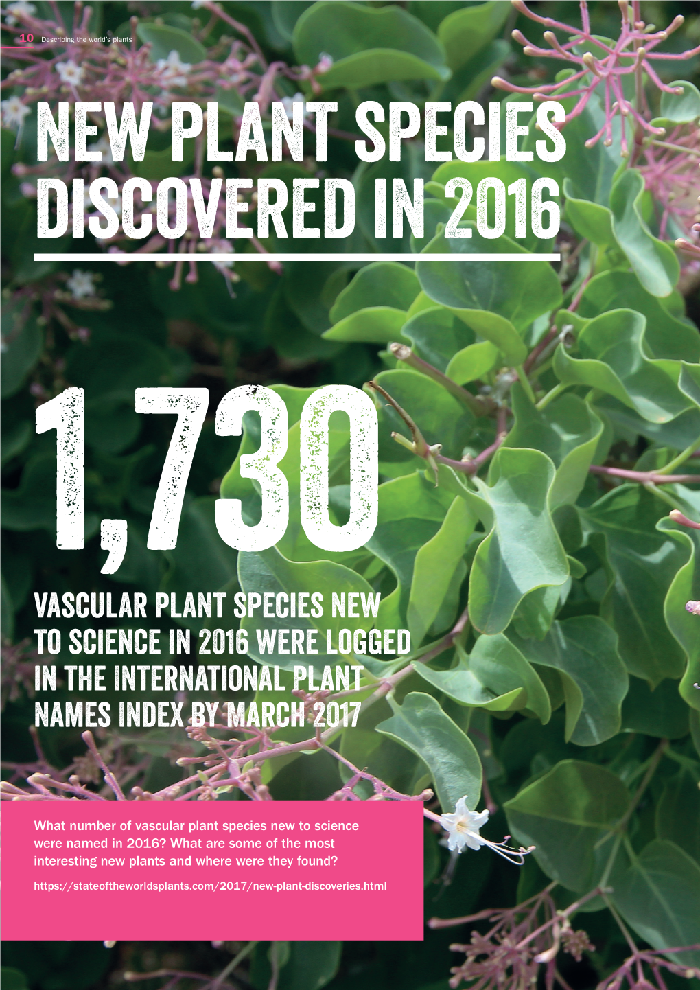 Vascular Plant Species New to Science in 2016 Were Logged in the International Plant Names Index by March 2017