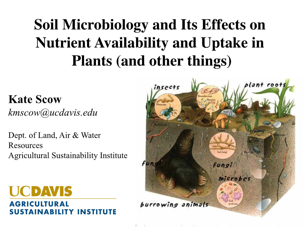 Soil Microbiology and Its Effects on Nutrient Availability and Uptake in Plants (And Other Things)