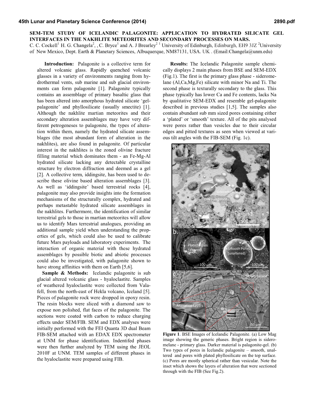 Sem-Tem Study of Icelandic Palagonite: Application to Hydrated Silicate Gel Interfaces in the Nakhlite Meteorites and Secondary Processes on Mars