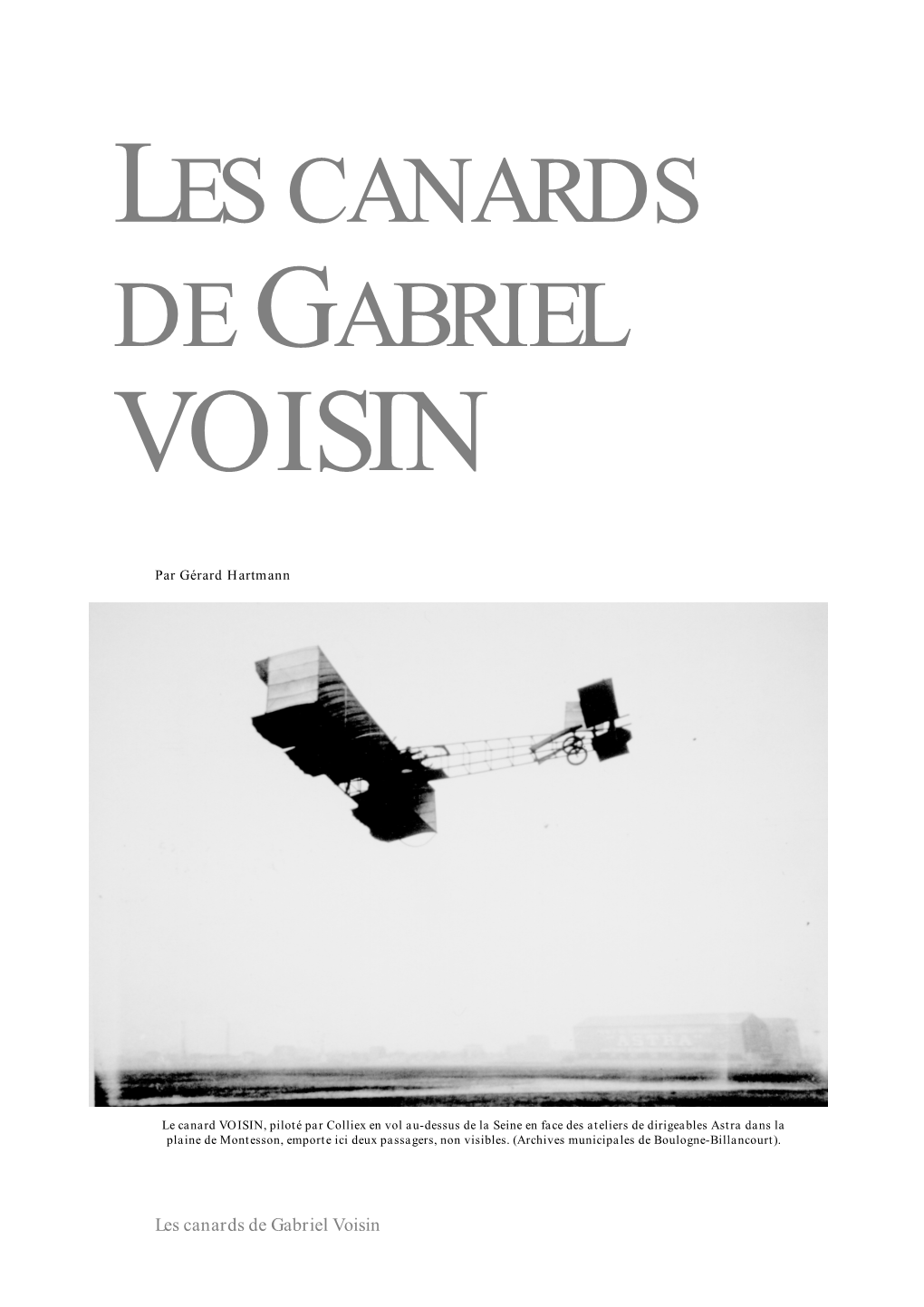 Les Canards De Gabriel Voisin