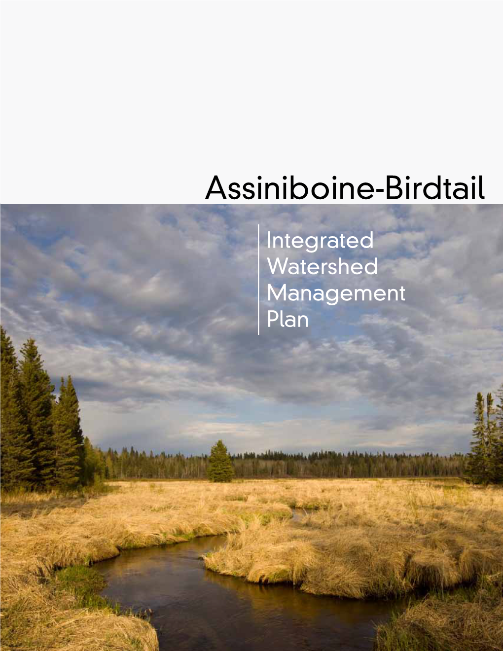 Assiniboine-Birdtail IWMP