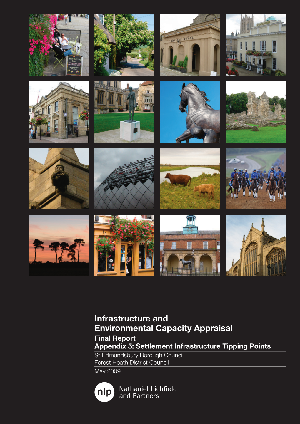 Infrastructure and Environmental Capacity Appraisal