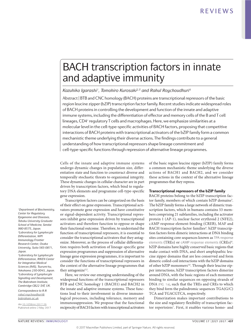 BACH Transcription Factors in Innate and Adaptive Immunity