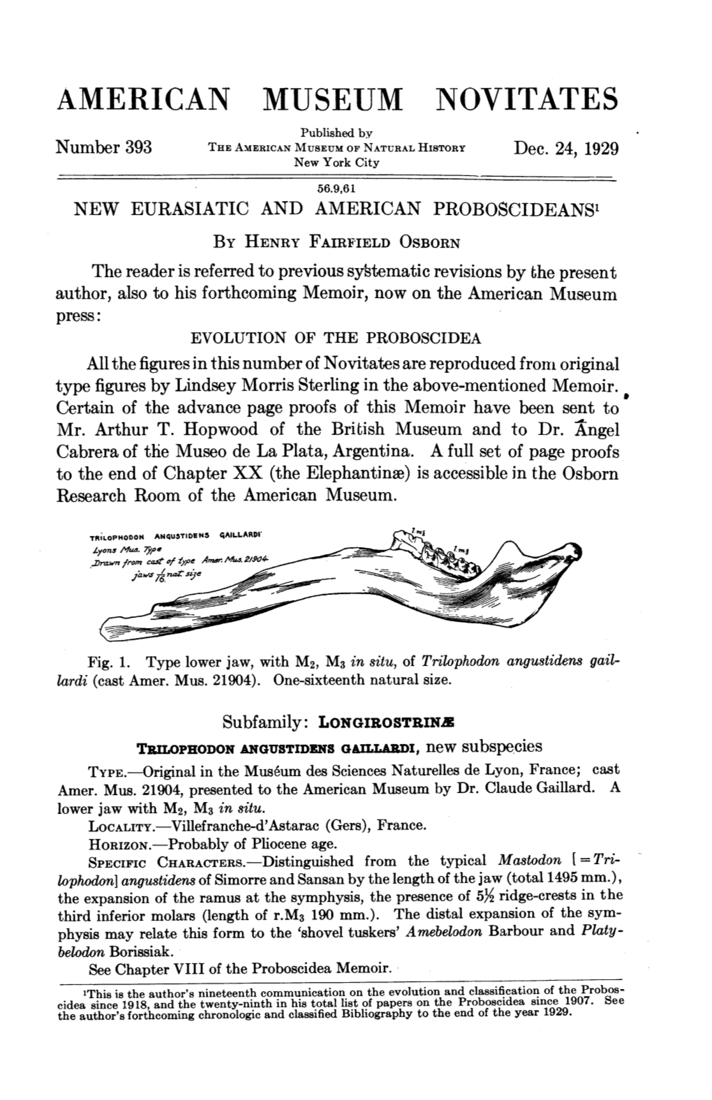 AMERICAN MUSEUM NOVITATES Published by Number 393 the AMERICAN MUSEUM of NATURAL HISTORY Dec