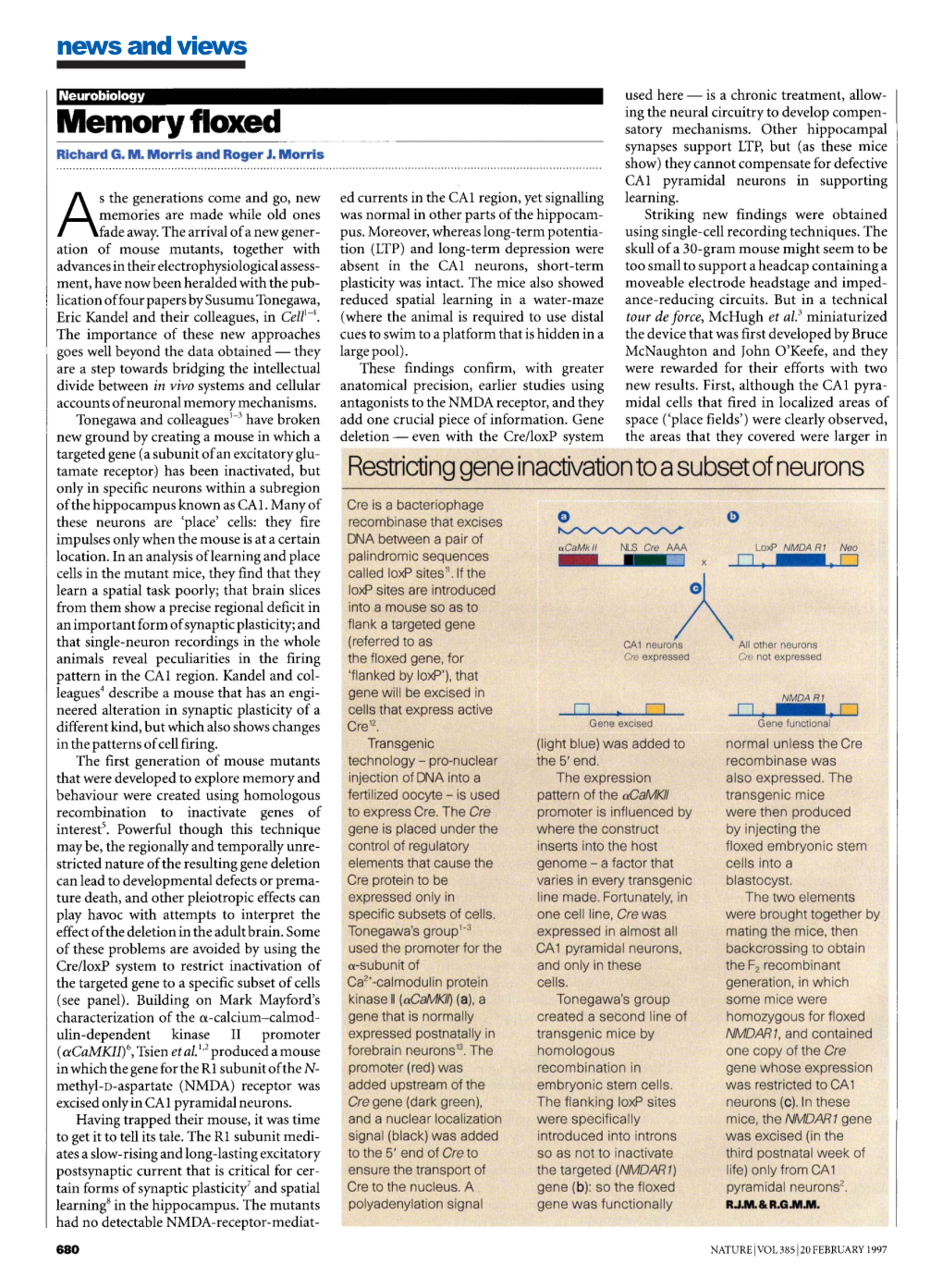 Memory Floxed Satory Mechanisms