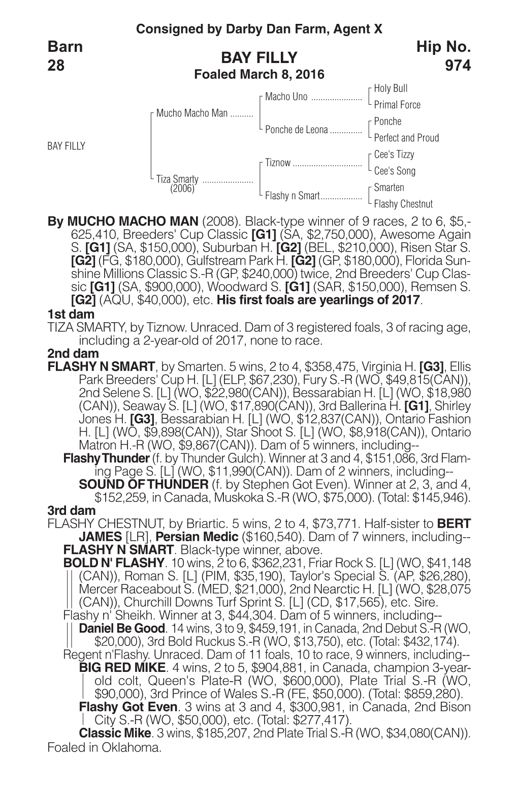 BAY FILLY Barn 28 Hip No