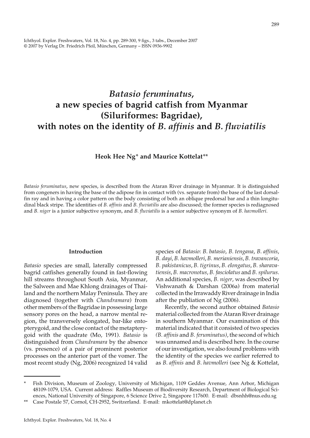 Batasio Feruminatus, a New Species of Bagrid Catfish from Myanmar (Siluriformes: Bagridae), with Notes on the Identity of B. Affinis and B