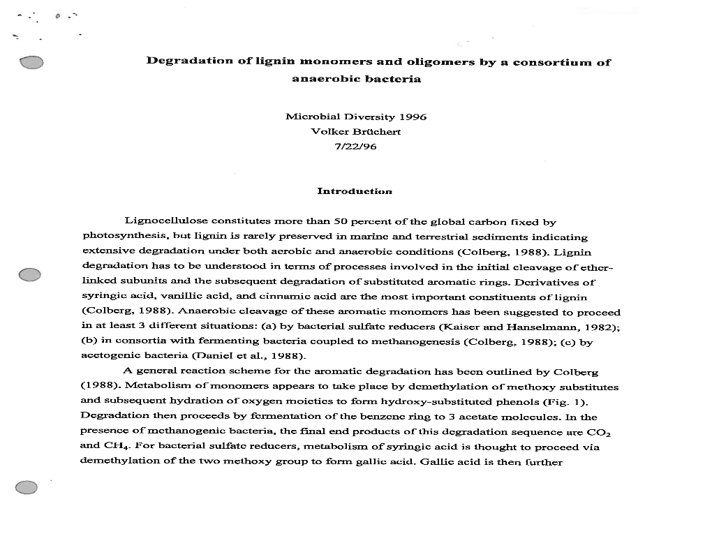 Degradation of Lignin Monomers and Oligomers by a Consortium Of