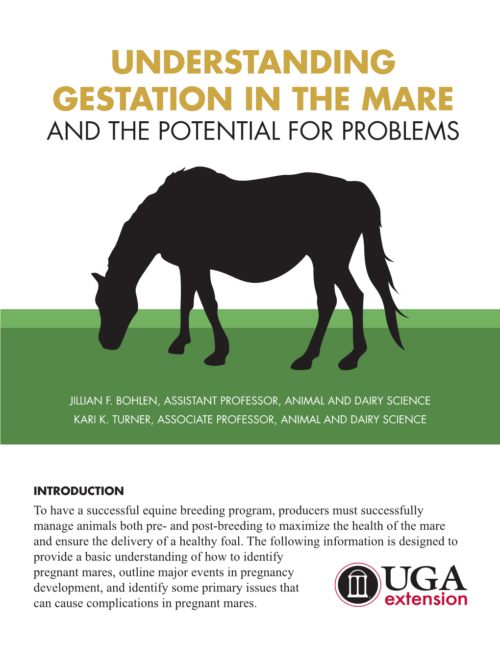 Understanding Gestation in the Mare and the Potential for Problems