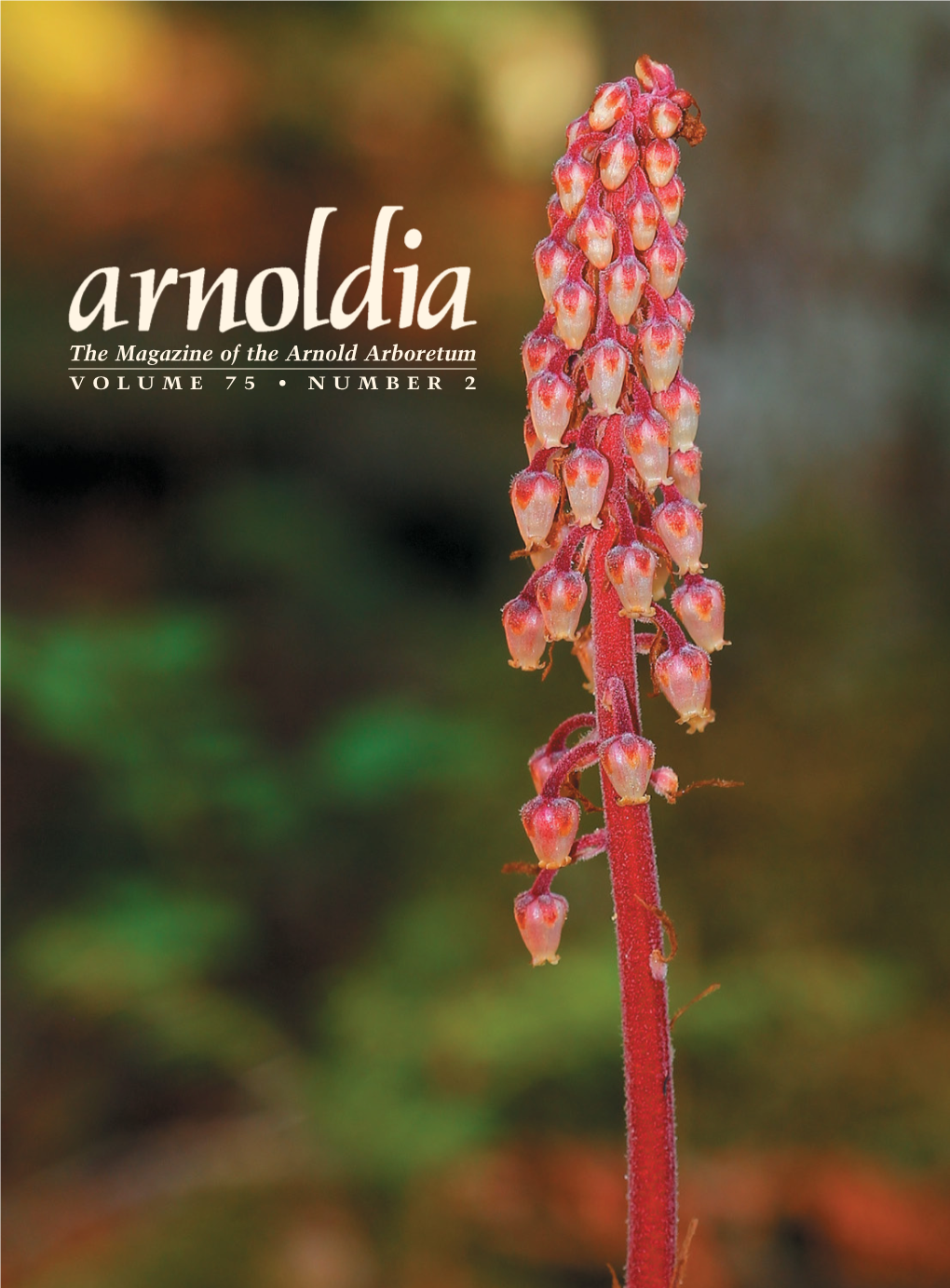 The Magazine of the Arnold Arboretum VOLUME 75 • NUMBER 2