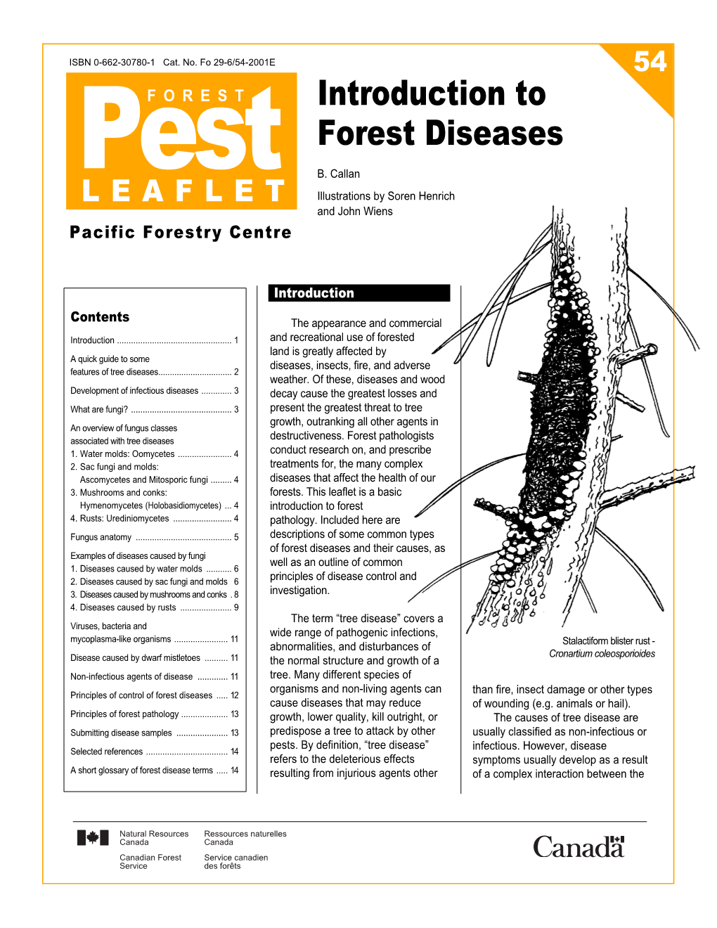 Introduction to Forest Diseases Pest B