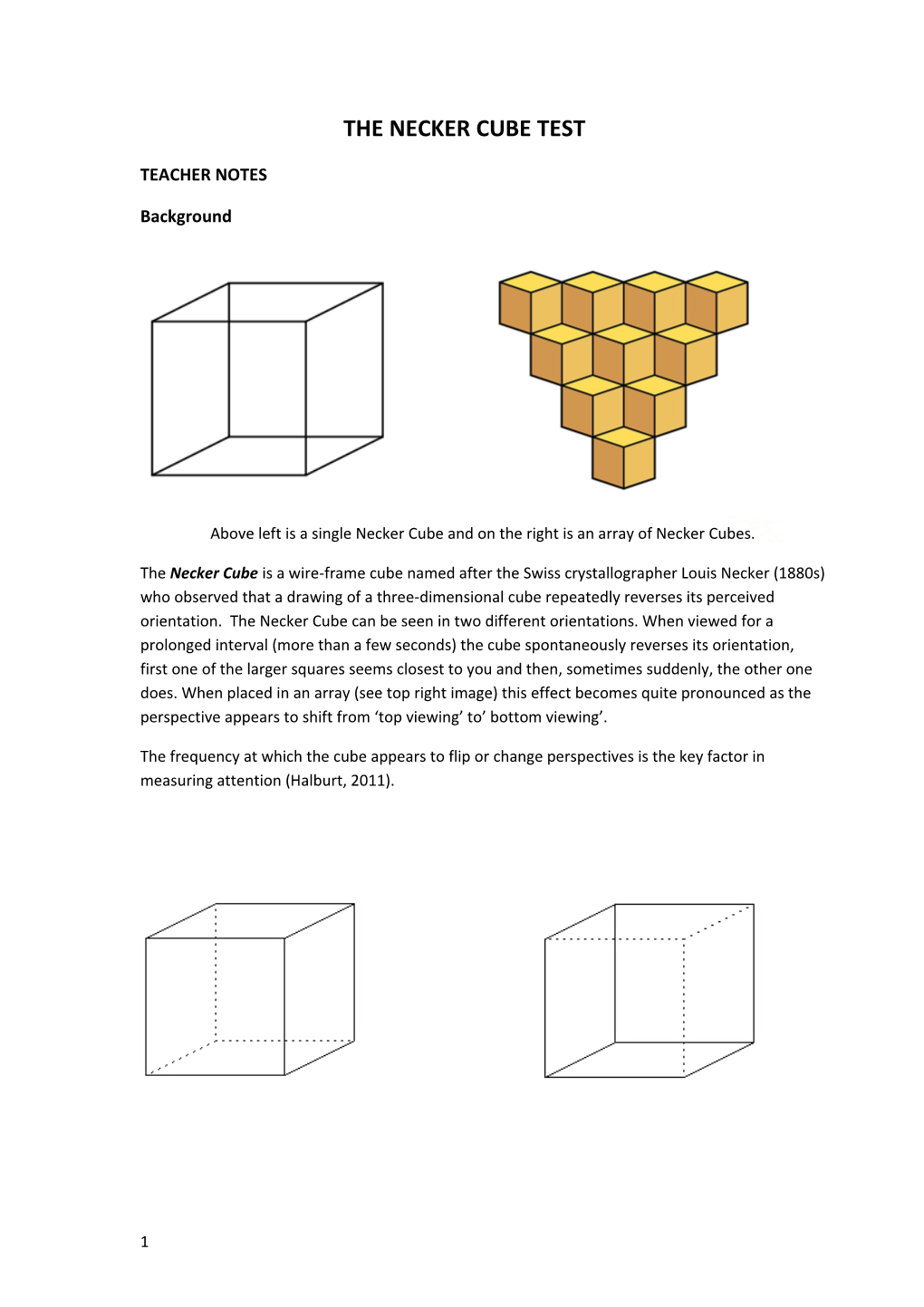The Necker Cube Test