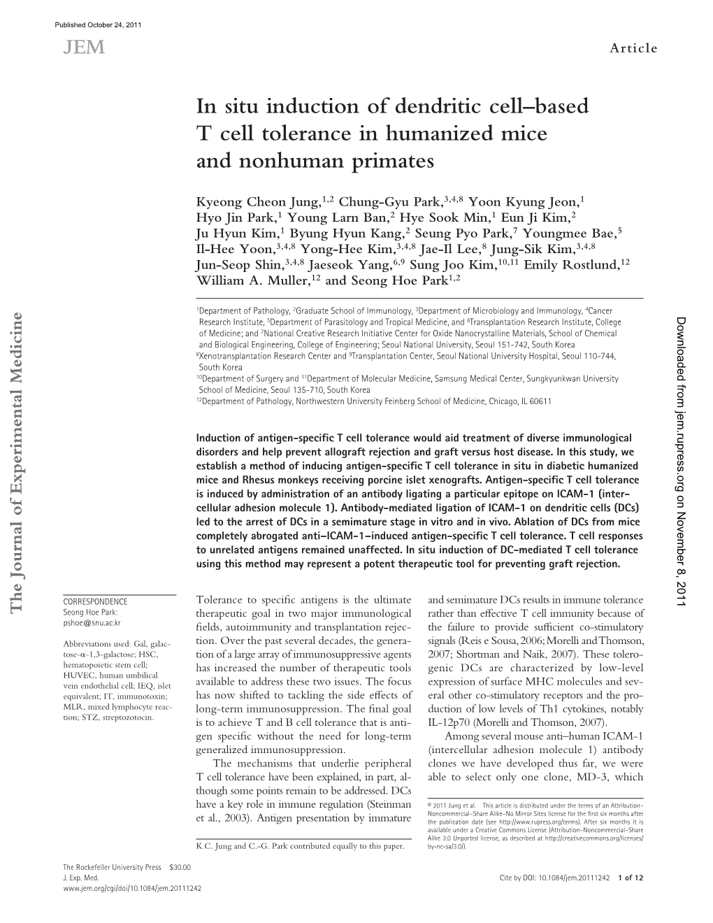 In Situ Induction of Dendritic Cell–Based T Cell Tolerance in Humanized Mice and Nonhuman Primates