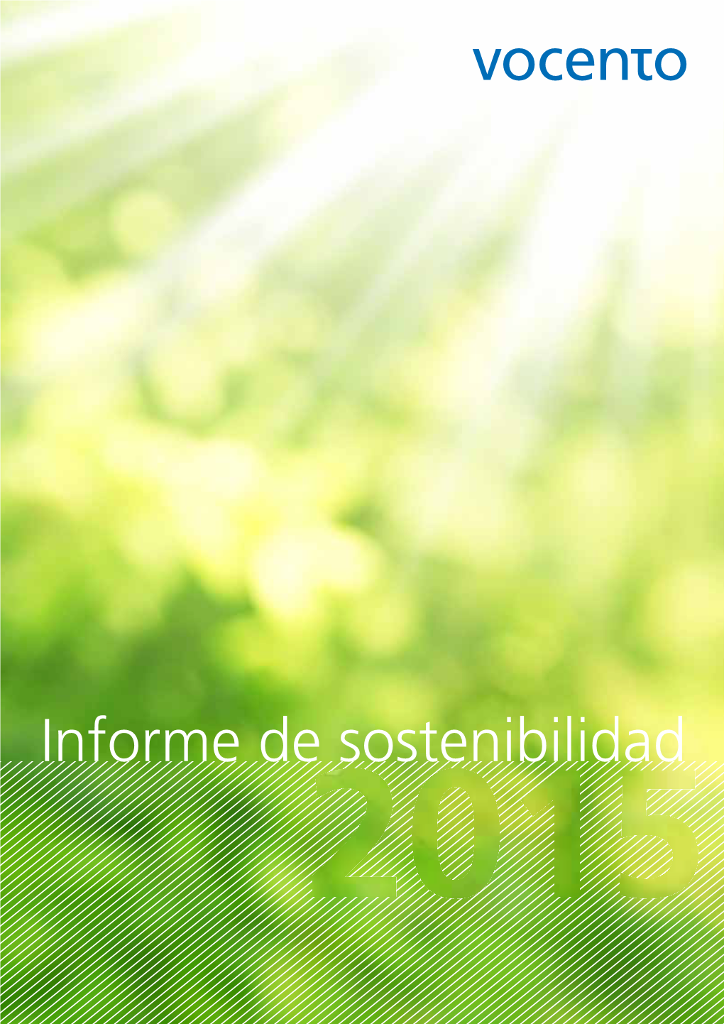 Informe De Sostenibilidad 2015