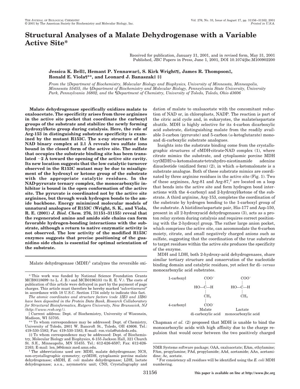 Structural Analysis of MDH with a Variable Active Site