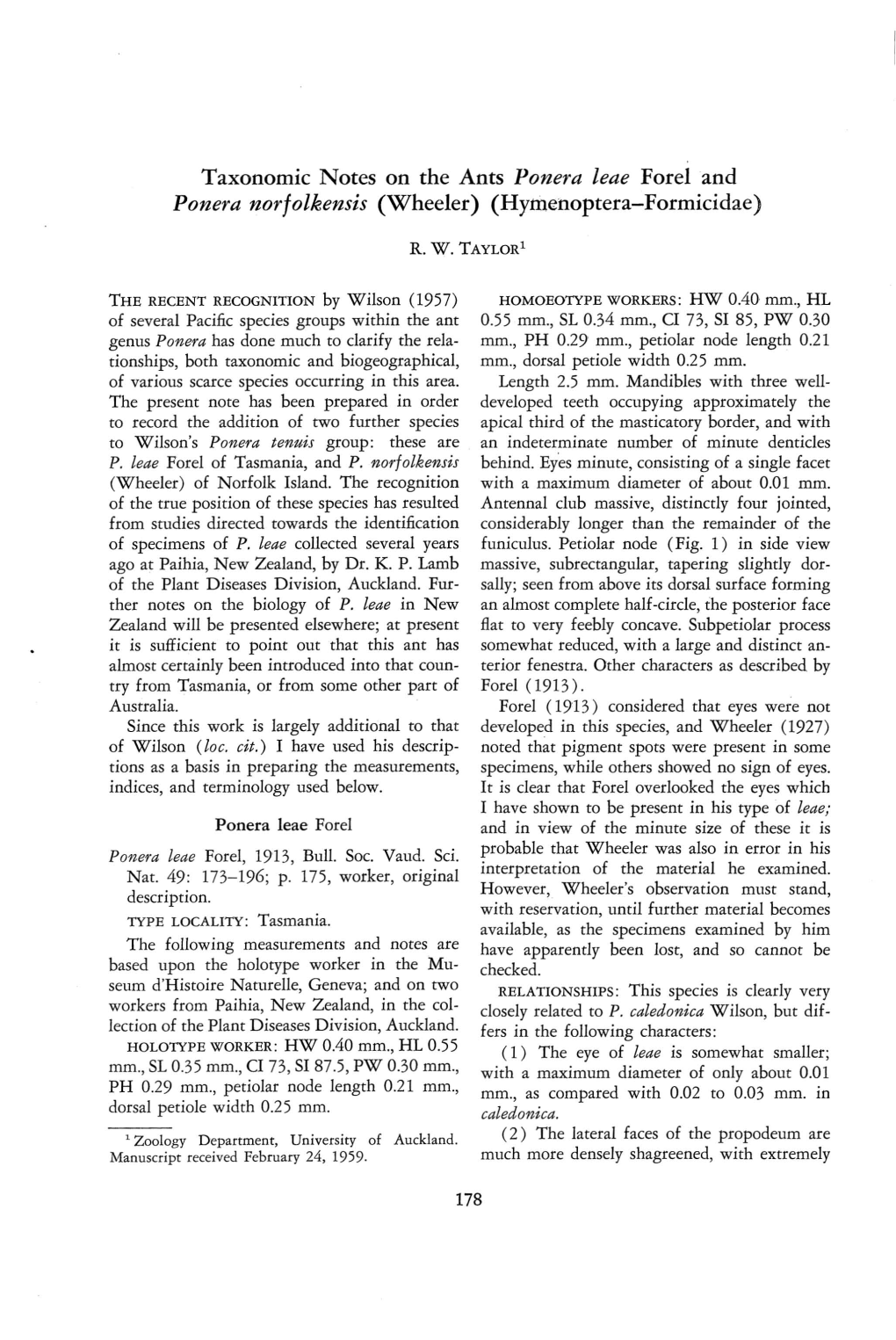 Taxonomic Notes on the Ants Ponera Leae Forel and Ponera Norfolkensis (Wheeler) (Hymenoptera-Formicidae)