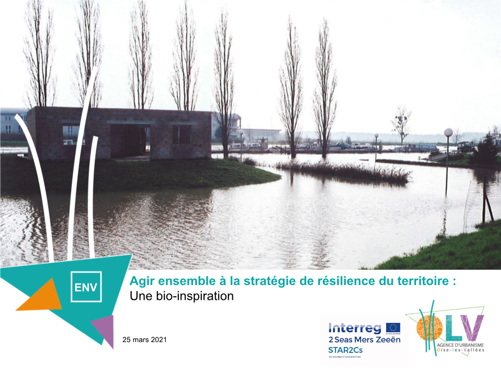 Agir Ensemble À La Stratégie De Résilience Du Territoire : ENV Une Bio-Inspiration