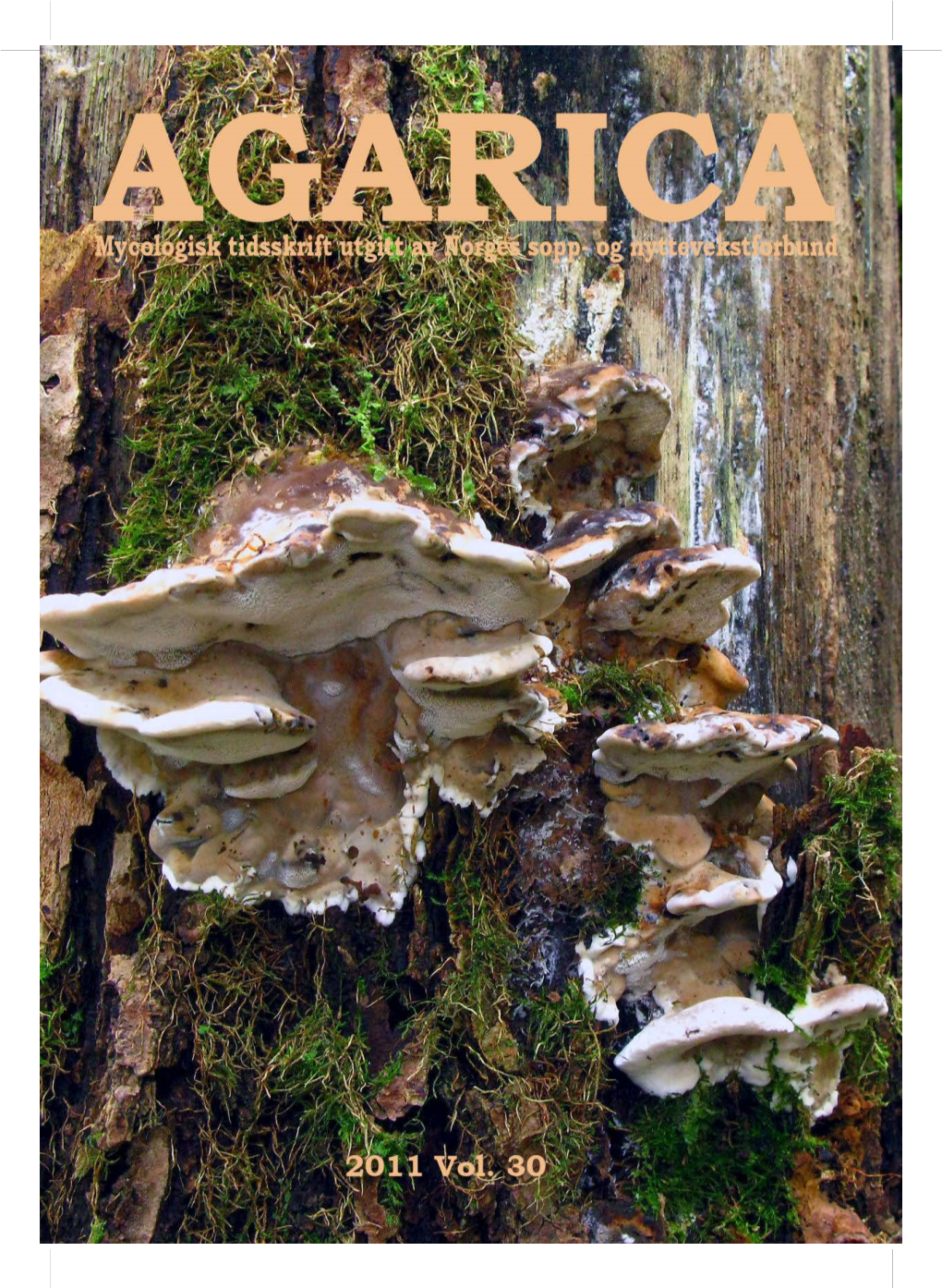 AGARICA Mykologisk Tidsskrift Utgitt Av Norges Sopp- Og Nyttevekstforbund / a Mycological Journal Published by Agariplantus Norvegicus