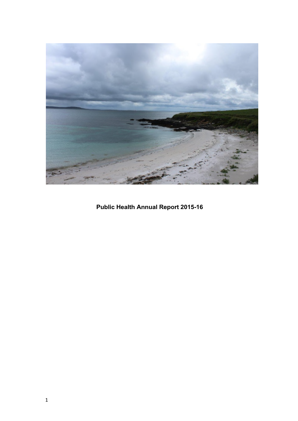Public Health Annual Report 2015-16