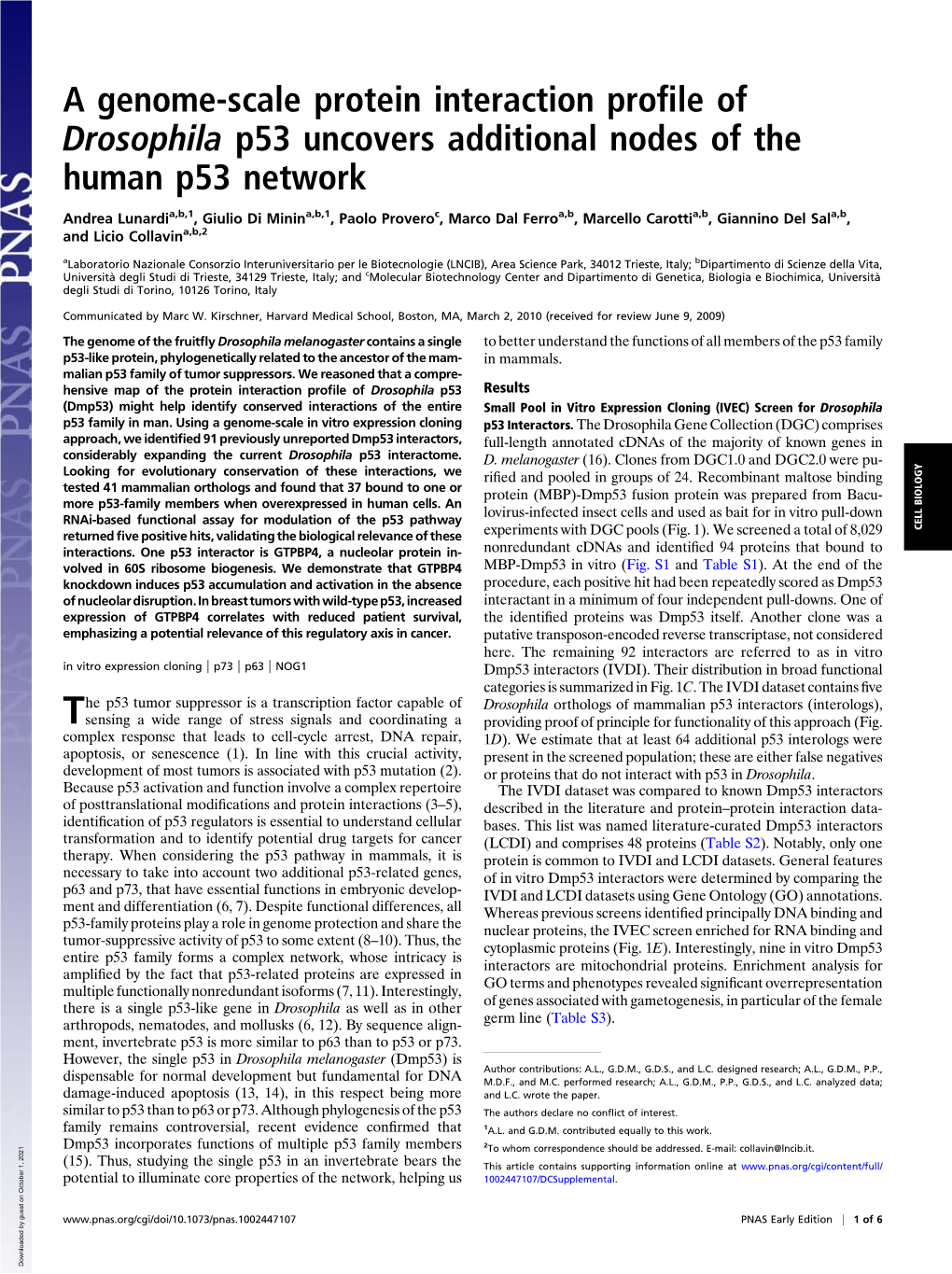 A Genome-Scale Protein Interaction Profile of Drosophila P53 Uncovers Additional Nodes of the Human P53 Network