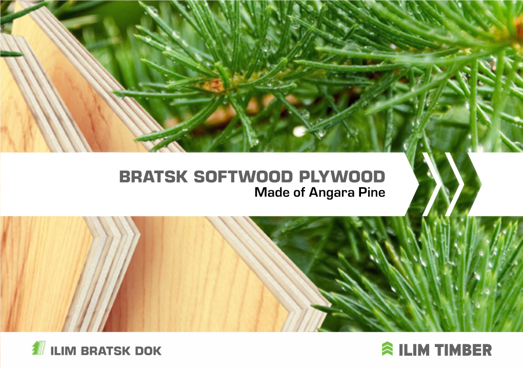 Bratsk Softwood Plywood. Made of Angara Pine