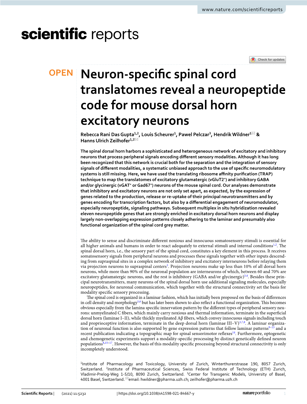 Neuron-Specific Spinal Cord Translatomes Reveal a Neuropeptide