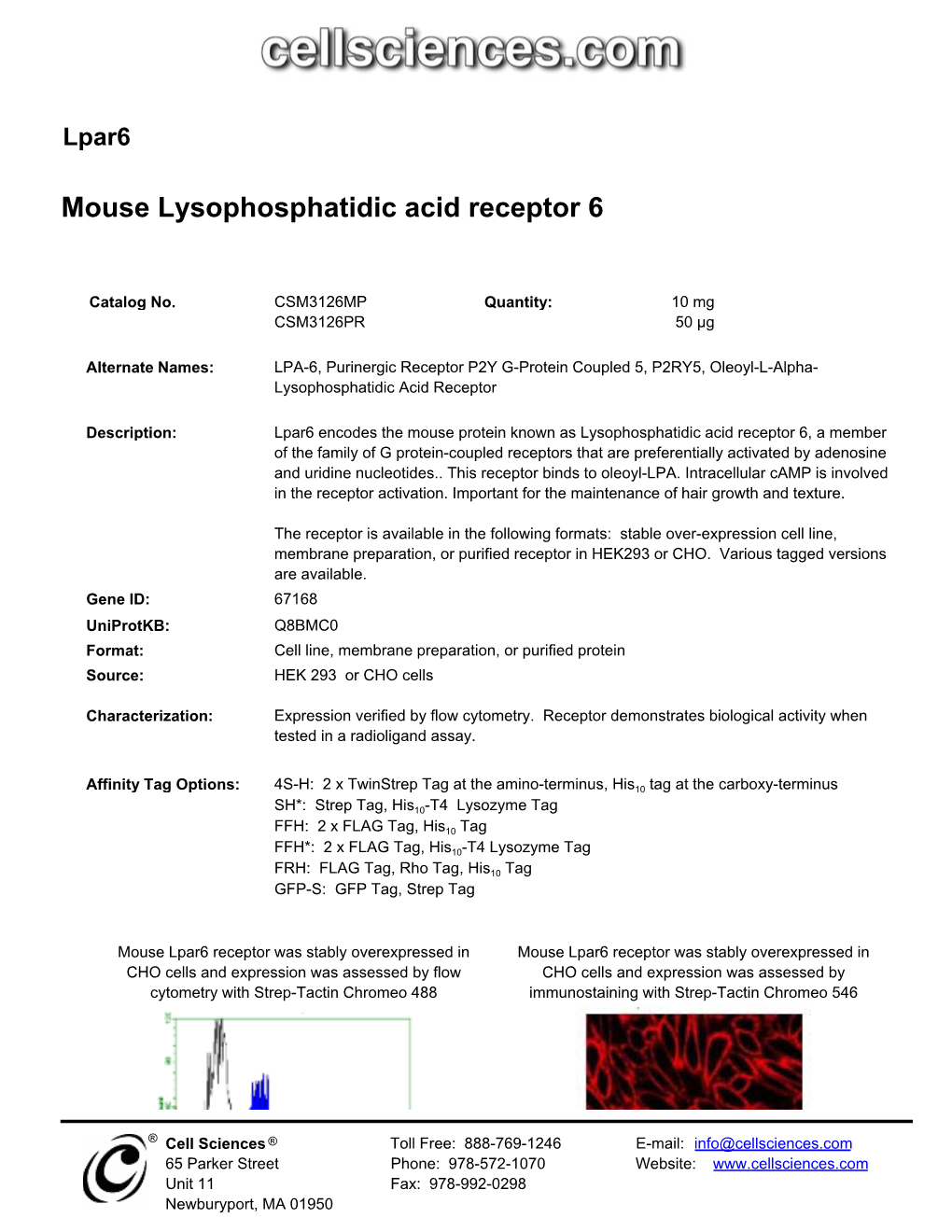 Mouse Lysophosphatidic Acid Receptor 6