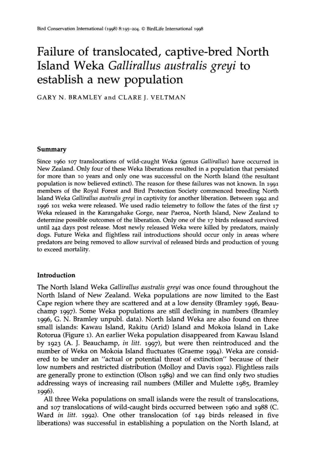 Failure of Translocated, Captive-Bred North Island Weka Gallirallus Australis Greyi to Establish a New Population