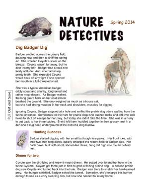Nature Detectives Dig Badger
