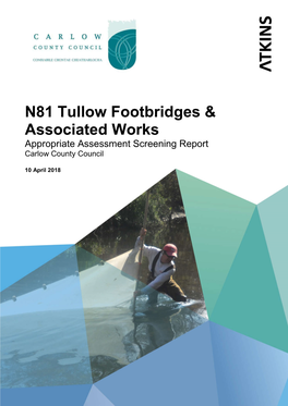 N81 Tullow Footbridges & Associated Works