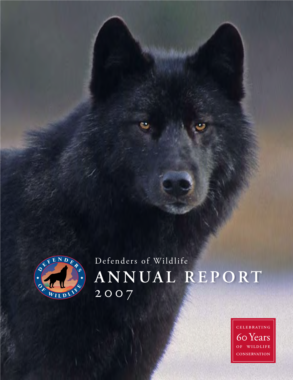 Annual Report 2007