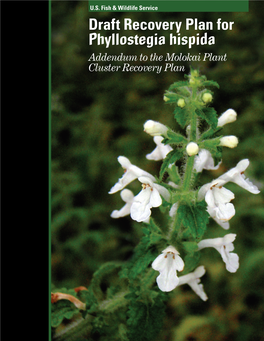 Draft Recovery Plan for Phyllostegia Hispida