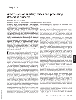 Subdivisions of Auditory Cortex and Processing Streams in Primates